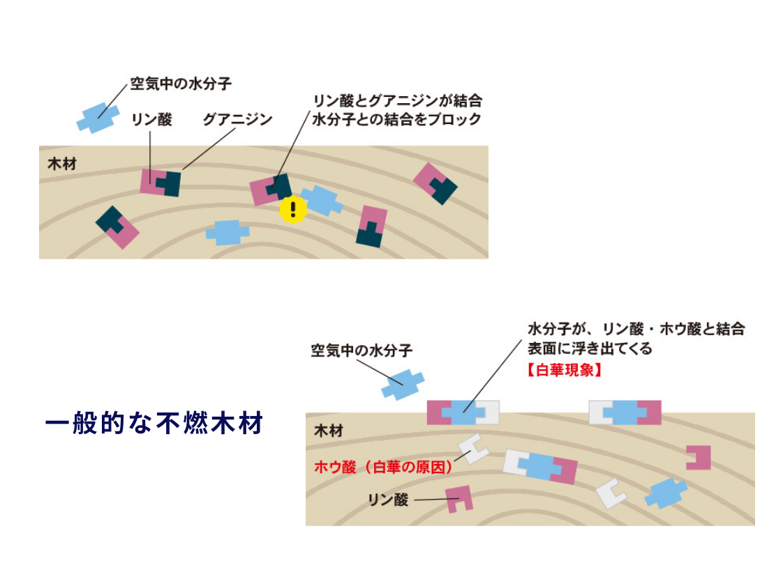 イメージ：エフネンノン白華が白華現象を防ぐ理由